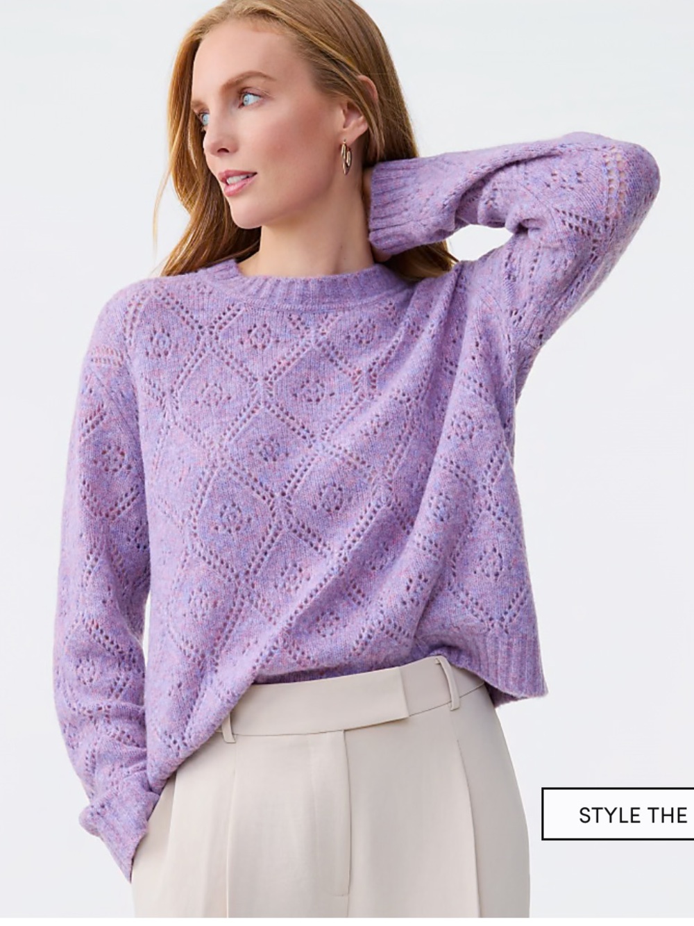 Ann Taylor Pointelle Crew Neck Sweater
